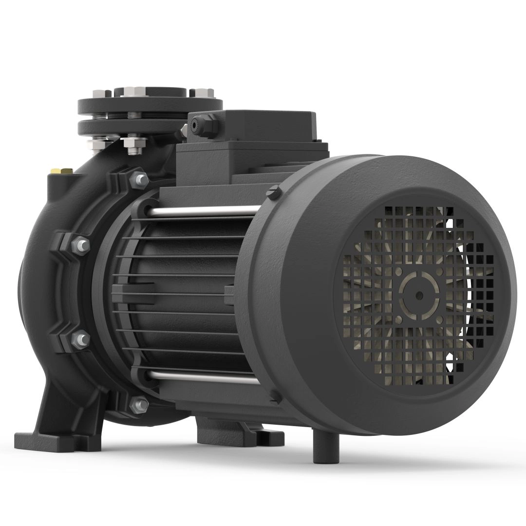 50 Hz End Suction Pump - Image 5