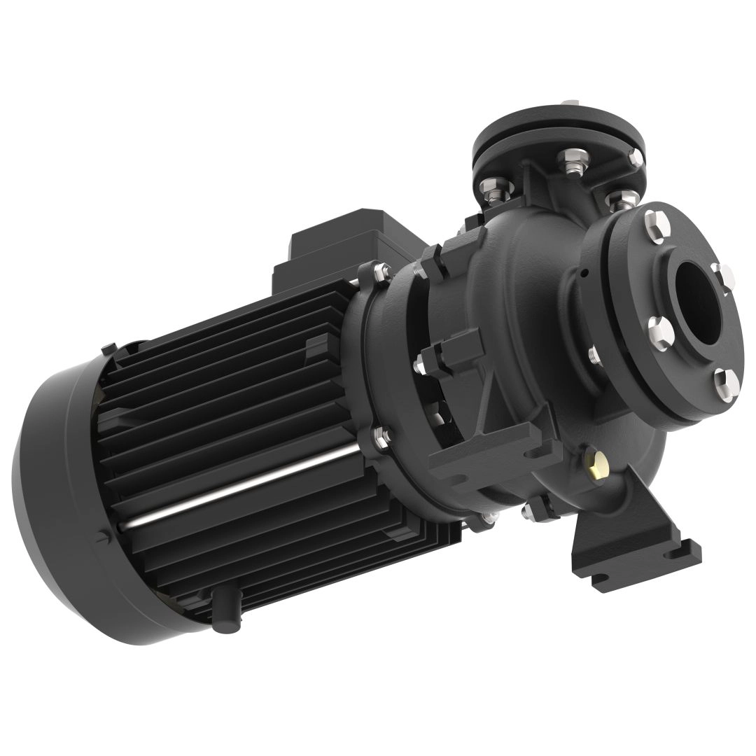 50 Hz End Suction Pump - Image 2